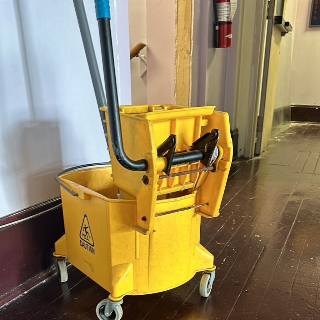 Carpet Cleaning Services