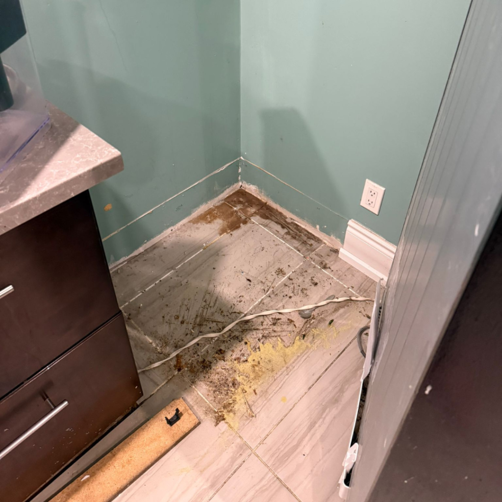 Deep Cleaning Services in Toronto